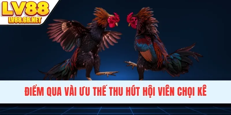 Điểm qua vài ưu thế thu hút hội viên chọi kê