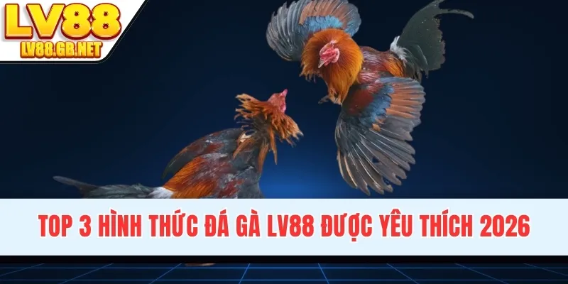Top 3 hình thức đá gà LV88 được yêu thích 2026